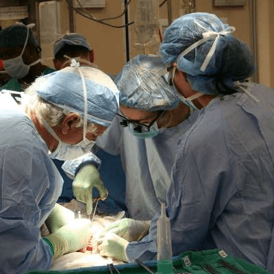 Organ Transplantation Surgeries