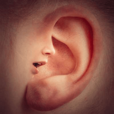 Ear, Nose and Throat Surgeries